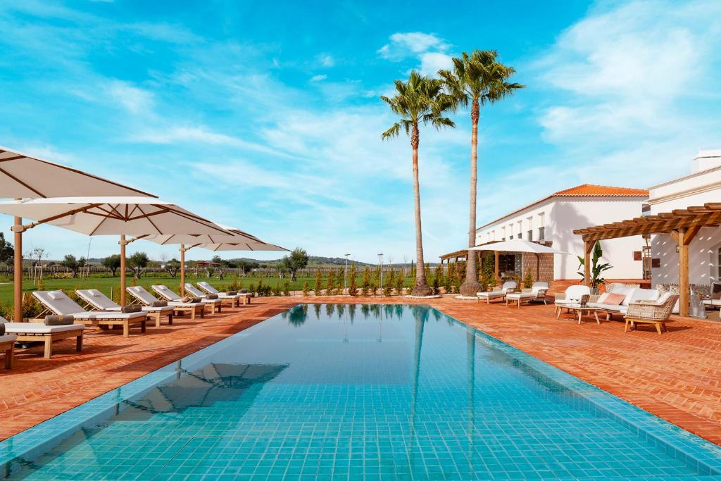 A wine estate with a pool framed by vineyards and palms in Portugal